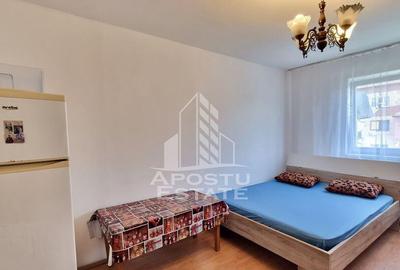 Garsonieră nedecomandată în Buziașului