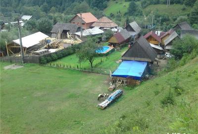 Casă cu 4 camere cu Teren 2000 Mp în Vale - 3