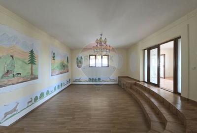 De vanzare proprietate unicat in Sascut - Bacau - 18