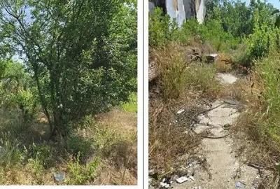 Casa si teren Cucuruzu, ID: R2609648 - 6