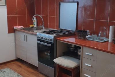 Apartament cu 2 camere în Ronaț - 7