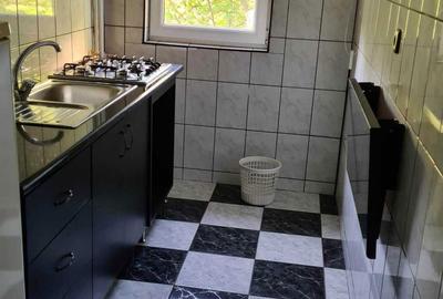 Garsonieră decomandată în Valea Ialomiței - 4