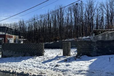 Spațiu comercial, în Trivale - 1