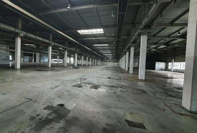 Militari - Bdul Timisoara - Valea Cascadelor - Drumul Taberei - 3