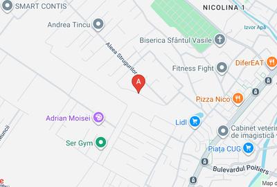 Teren Construcții intravilan în Nicolina - 1