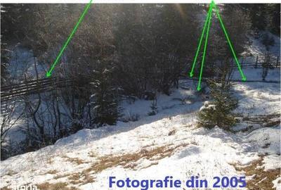 Teren de 6450 mp, în Neagra - 9