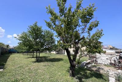 Teren 3500 mp Str Delfinului Foarte Aproape De Lacul Sutghiol - 38