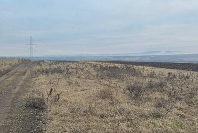 Teren cristur hunedoara parcele 500, 1000, 1500 mp - 2