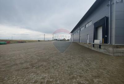 Spațiu industrial, de 1,120 mp, în Dumbrăveni - 30