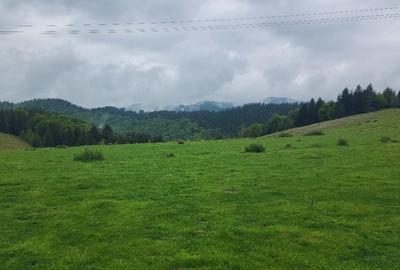 Parcele de vis in munti - Zona Arka Park, cu drum de acces si PUZ aprobat - 6