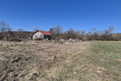 Teren de 2260 mp, în Dumbrăvița - 6