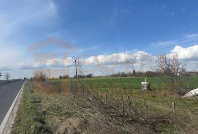 Teren Construcții extravilan de 18000 mp, în Valu lui Traian - 6