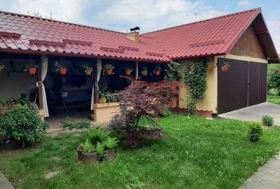 Casă cu Teren 1000 Mp în Mărăcineni - 7