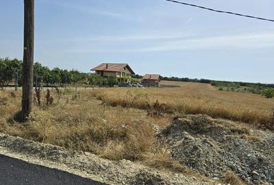 Teren de 6000 mp, în Lazu - 9