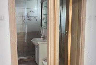 Apartament cu 2 camere semidecomandat în P-ța Victoriei - 3