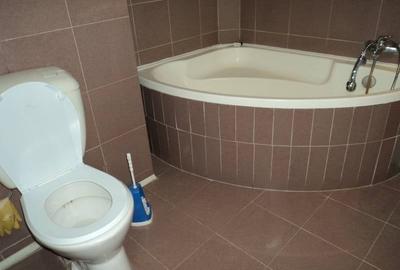 Apart.3 cam  mobilat utilat imbunatatiri suprafata 105m. Apart.3 cam  mobilat utilat imbunatatiri suprafata 105m. - 11