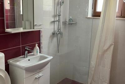 Apartament cu 2 camere decomandat în Ștrand - 3