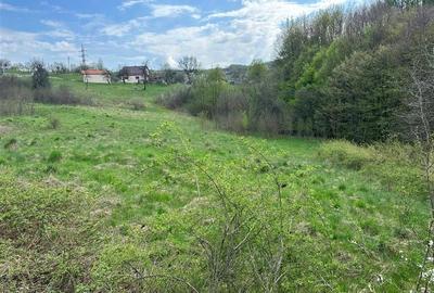 Terenuri extravilane in Luncoiu de Sus, Hunedoara