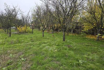 Casă cu 4 camere în Central - 2