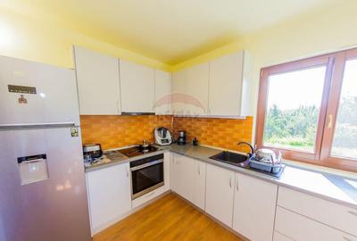 MERISOR - proprietate de vanzare - 12