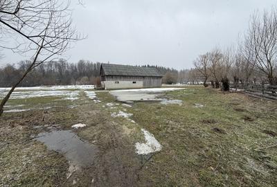 Teren agricol extravilan de 3600 mp, în Horodnic de Sus - 5