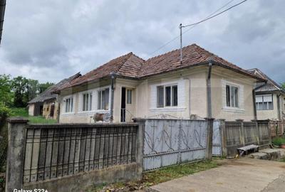 Casa la tara in Beudiu, comuna Nu?eni + teren arabil - 1