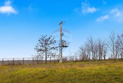 Teren Construcții intravilan de 43708 mp, în Scobâlțeni - 38