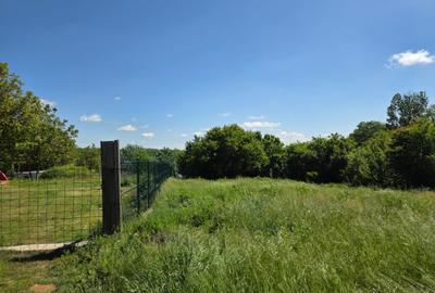 Teren de vanzare in Com.Gradistea,Ilfov, 35 km de Bucuresti - 3