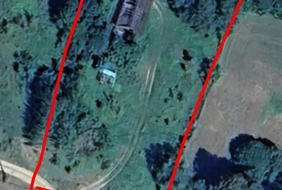 Teren de 3000 mp, în Sucevița - 5