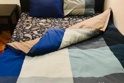 Garsonieră în Tineretului - 8