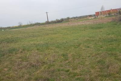 Teren de 1000 mp, în Rontău - 7