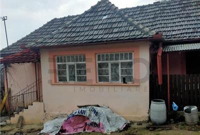 Reco Casa 3 camere si teren 2.600mp in Burzuc - 9