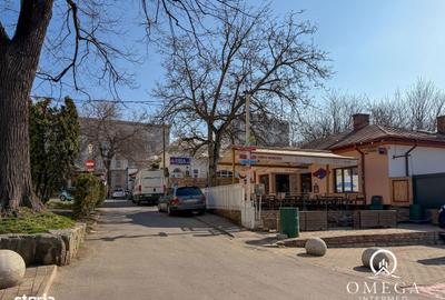 Casă cu 3 camere în Albești - 17