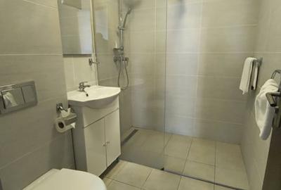 Hotel de inchiriat Parter + 2 Etaje + Mansarda, 19 camere, zona Brancoveanu - 18