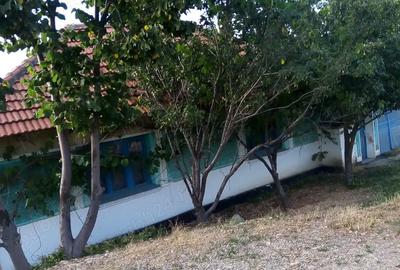 Casă cu 3 camere cu Teren 1180 Mp în Tăut - 1