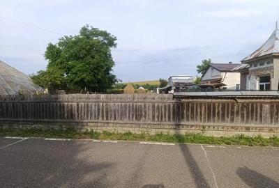 Teren intravilan, Carligi,com. Stefan cel Mare - 3