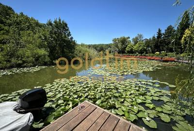 O VILA PERFECTA/IMPECABIL CONSTRUITA/4CAMERE 260MP/TEREN 1000MP/ACCES LAC-PADURE