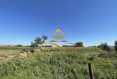 Casa de vanzare in Bacau Siretu 4000 mp teren 2 case curte comuna - 2