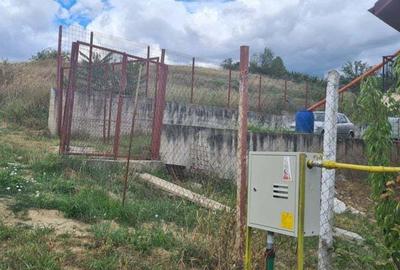 Teren de 1000 mp, în Bucium - 3