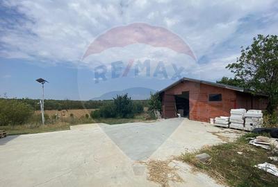 Teren cu hala, Bucsani, Crevedia / DN 61 (A1, A0) 40 Km ... - 5
