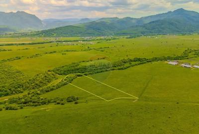Teren de 10800 mp, în Râșnov - 9