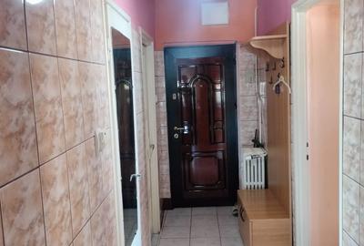 Apartament cu 2 camere decomandat în Aradul Nou - 7