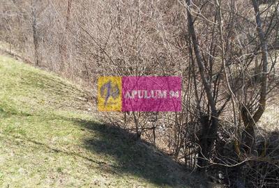 Teren de vânzare în Bușteni - Zona Zamora - 18