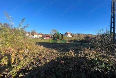 Teren de 1090 mp, în Păușești - 4