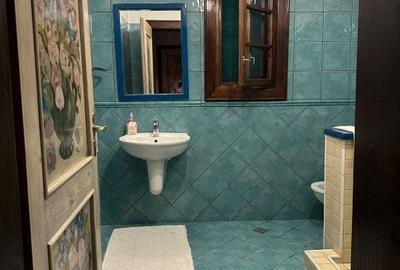 Casa individuala de inchiriat cu o camera - zona Ghiroda - 9