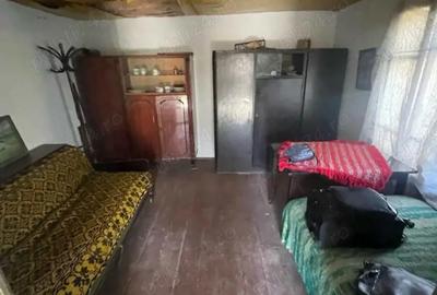 Casă cu 3 camere cu Teren 3400 Mp în Podu Turcului - 6