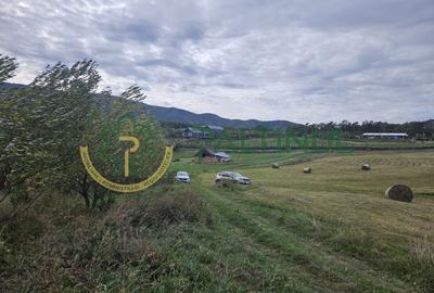 Teren de vanzare ,Tocile, Sibiu, case de vacanta si locuinte - 5