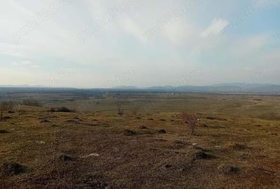 Teren - 7.132 mp zona deosebita , str Alexandru cel Bun Teren - 7.132 mp zona deosebita , str Alexandru cel Bun - 2