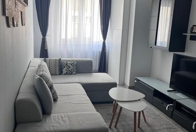 Apartament 2 camer,mobilat si utilat,zona Avram Iancu - 11