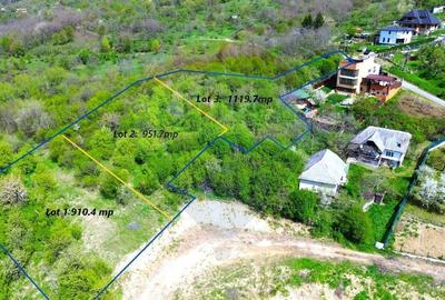 Teren Intravilan in Baia Mare cu Priveliste,  951mp